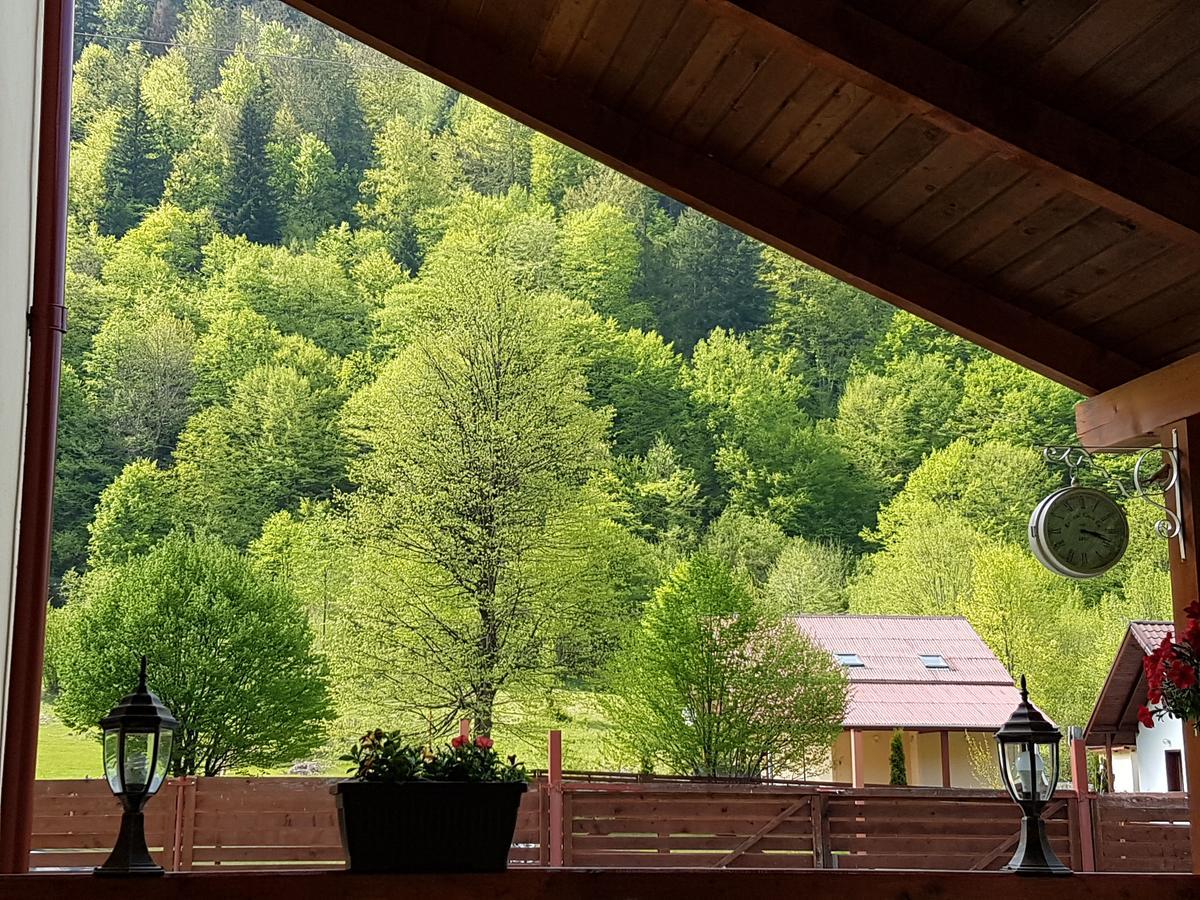 Vila Carmen Cazaci Buitenkant foto